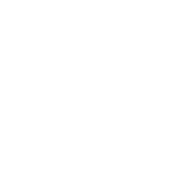 wizard
